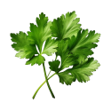 Parsley_leaves_in_a_closeup_-15-removebg-preview